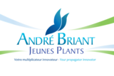 ANDRE BRIANT JEUNES PLANTS