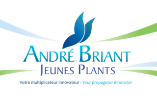 ANDRE BRIANT JEUNES PLANTS