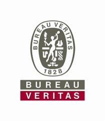 BUREAU VERITAS SERVICES FRANCE