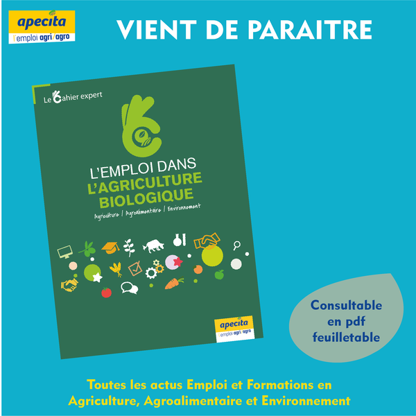 offres d emploi apecita