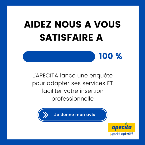 offres d emploi apecita
