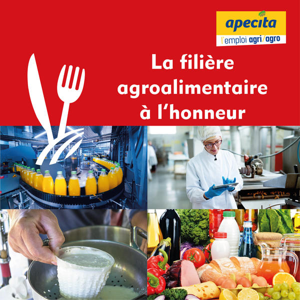 offres d emploi apecita