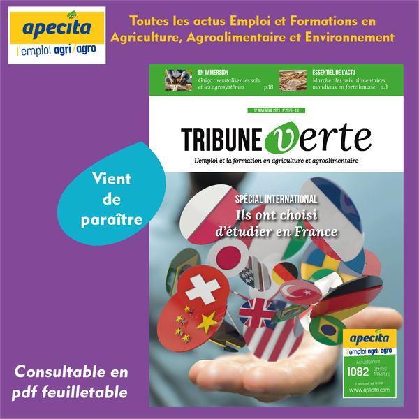 offres d emploi apecita