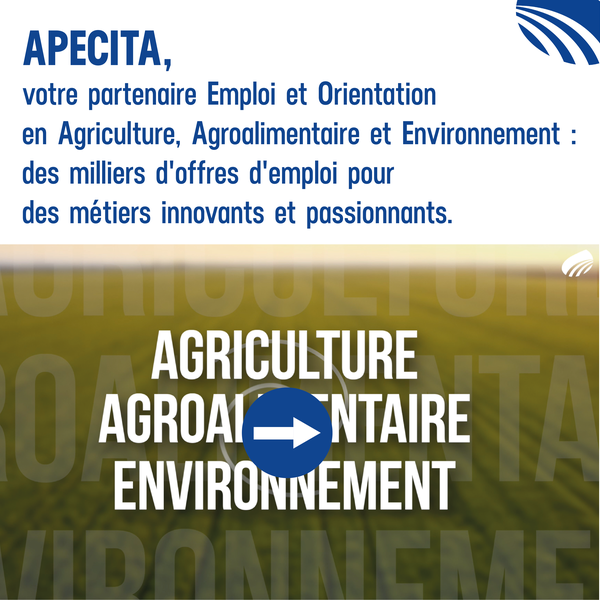 offres d emploi apecita