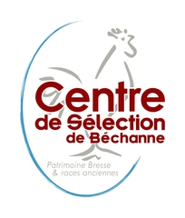 CENTRE DE SELECTION DE BECHANNE