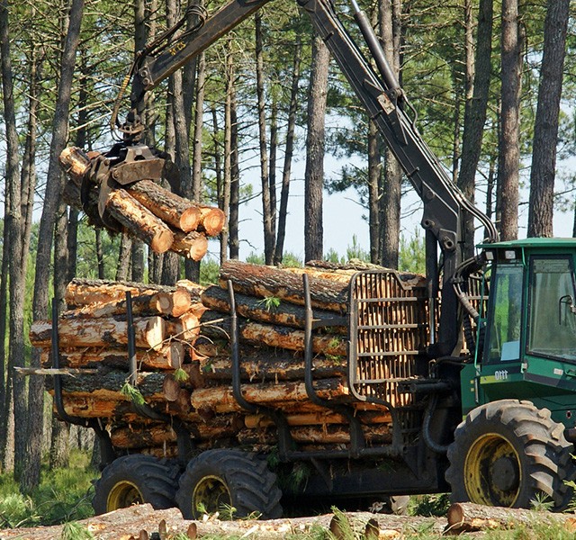 De la forêt au bois ( Forêt & Scierie ) on Vimeo