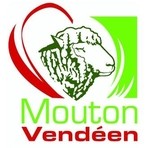OES MOUTON VENDEEN