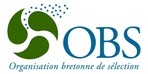 OBS