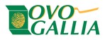 OVOGALLIA