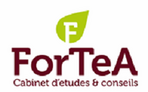 FORTEA CONSULTING