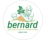 BERNARD   SAS
