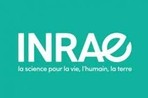INRAE TOULOUSE AUZEVILLE