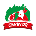 CEVINOR