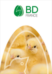 BD FRANCE PRODUCTION