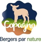 COPAGNO