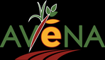 AVENA SARL