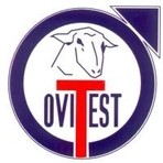OVI-TEST