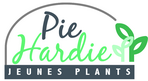 LA PIE HARDIE JEUNES PLANTS