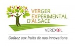 VEREXAL