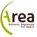 AREA