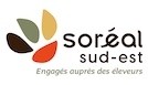SYNOVIVO CONSULTING