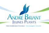 ANDRE BRIANT JEUNES PLANTS