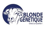 BLONDE GÉNÉTIQUE