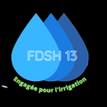 FDSH13