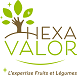 HEXAVALOR