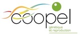 COOPEL