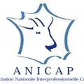 ASSOCIATION NATIONALE INTERPROFESSIONNELLE CAPRINE