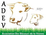 ADEV (ASSOCIATION DES ÉLEVEURS DE LA VIENNE)