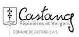 DOMAINE DE CASTANG
