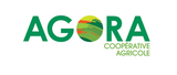COOPERATIVE AGORA