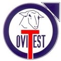 OVI-TEST