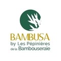 LES PÉPINIÈRES DE LA BAMBOUSERAIE