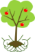 PEPINIERES PADELLI