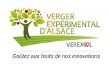 VEREXAL