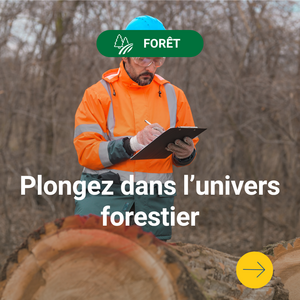 Forêt