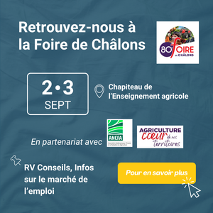 Foire de Châlons 2026