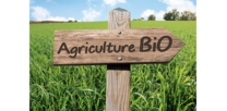 Aides à l’agriculture biologique : La fin d’une unité nationale