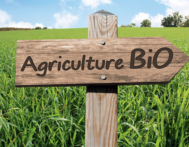 Aides à l’agriculture biologique : La fin d’une unité nationale