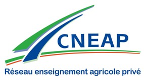 CNEAP