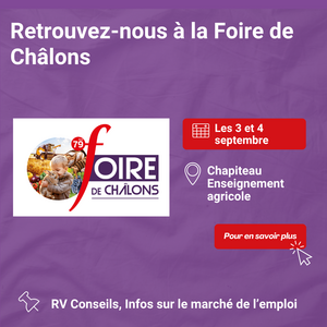 Foire de Châlons 2025