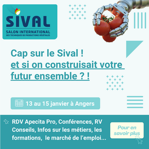 Sival 2026