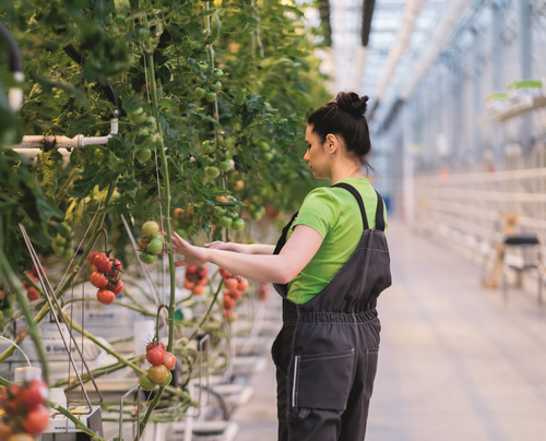 horticulture, contrôleur qualité