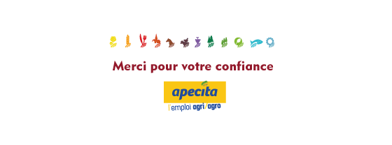 www.apecita.com, élu meilleur portail de recrutement par nos entreprises !