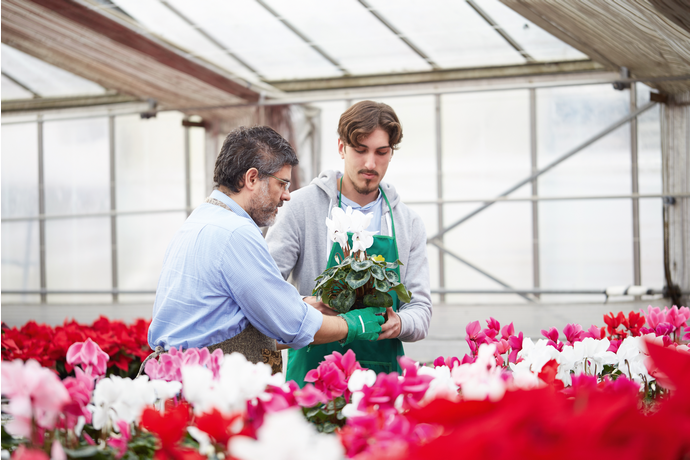 Quand l'horticulture conjugue pragmatique et innovation