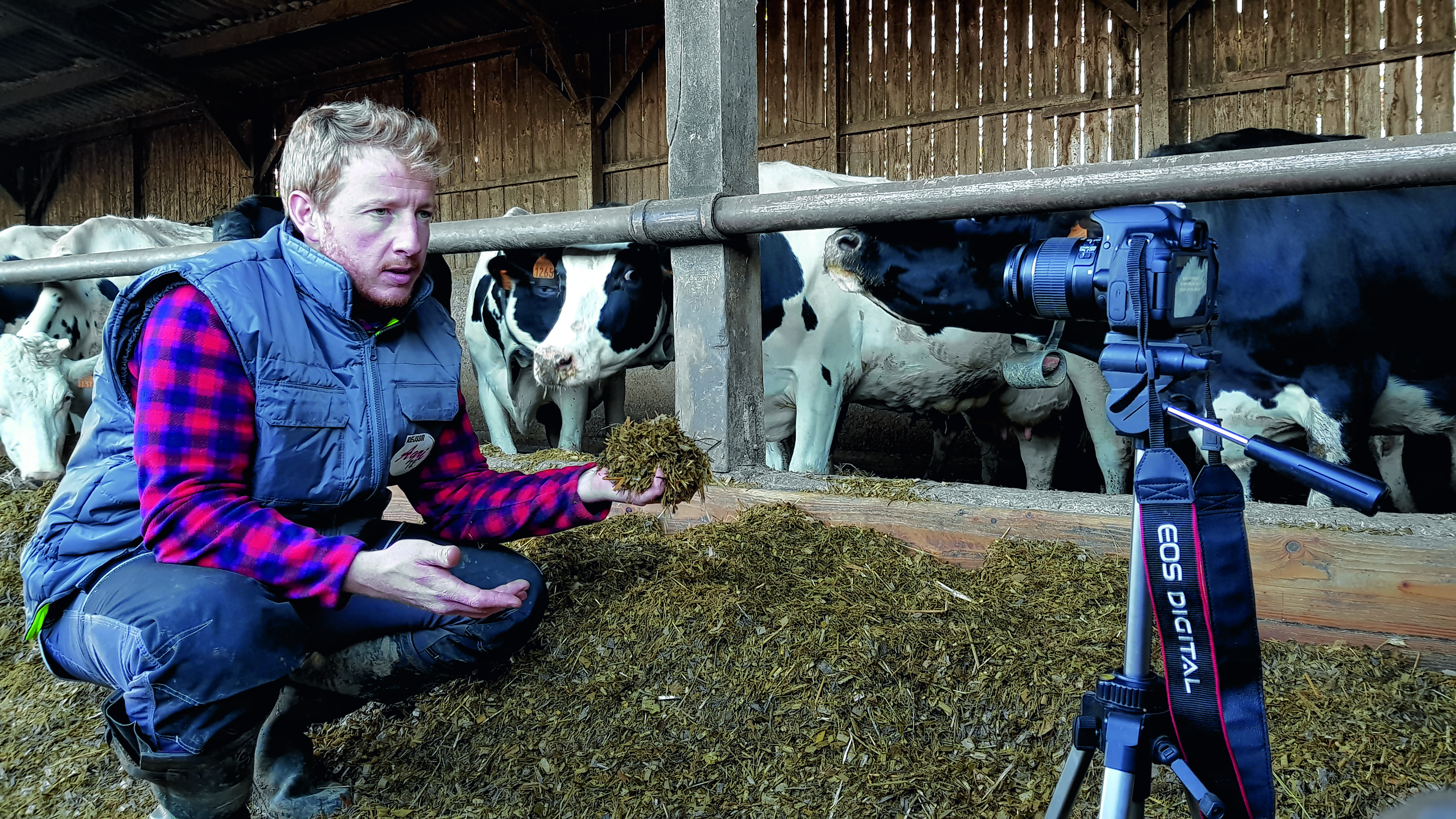 Etienne Fourmont, Eleveur de vaches laitières. "Je suis éleveur et youtubeurre"