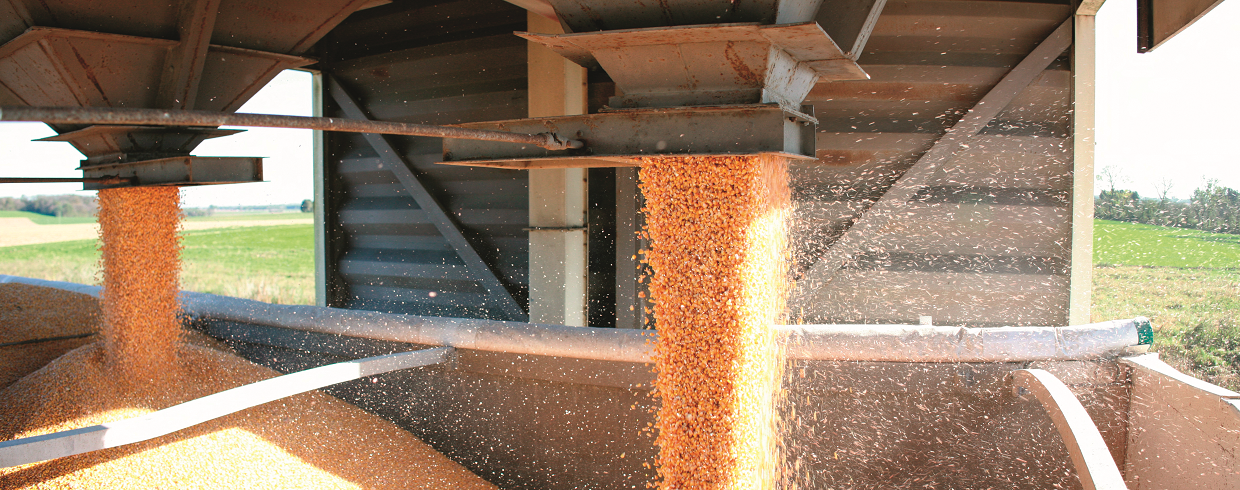 La coopérative agricole, un modèle d'entreprise à part